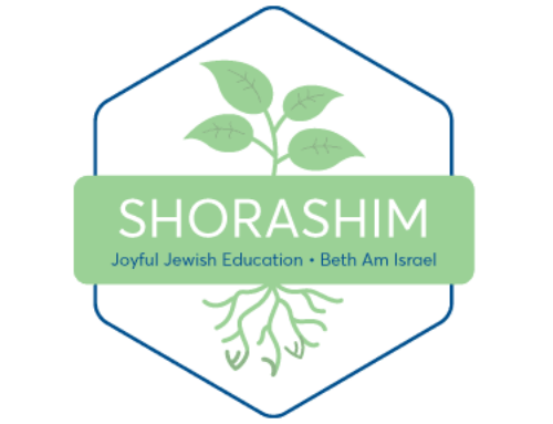 Highlights from Shorashim