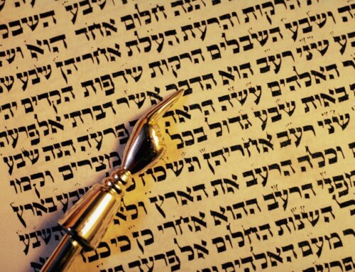 Shabbat Reflection: Parashat Re’eh